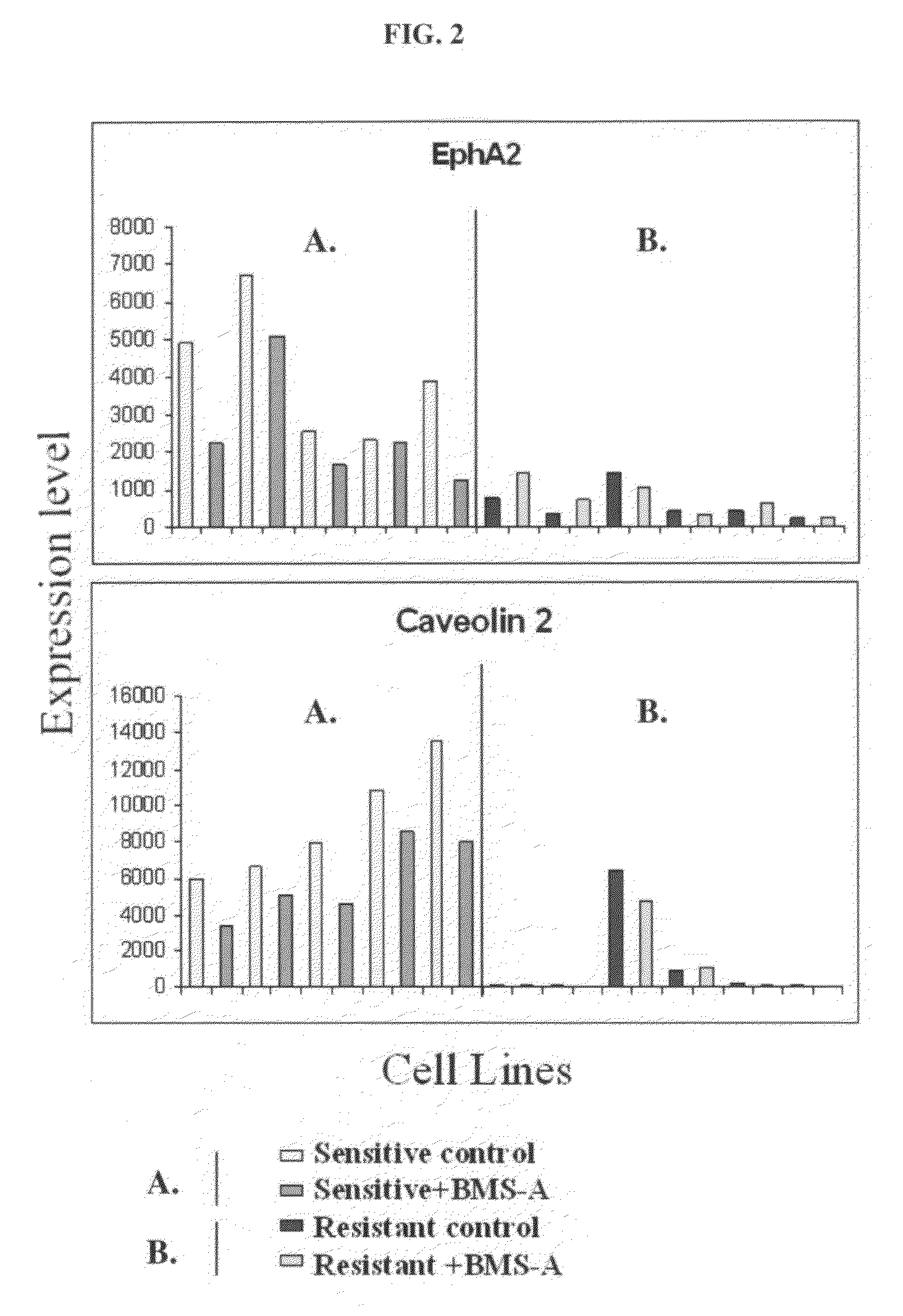 Methods of using EPHA2 for predicting activity of compounds that interact with and/or modulate protein tyrosine kinases and/or protein tyrosine kinase pathways in breast cells