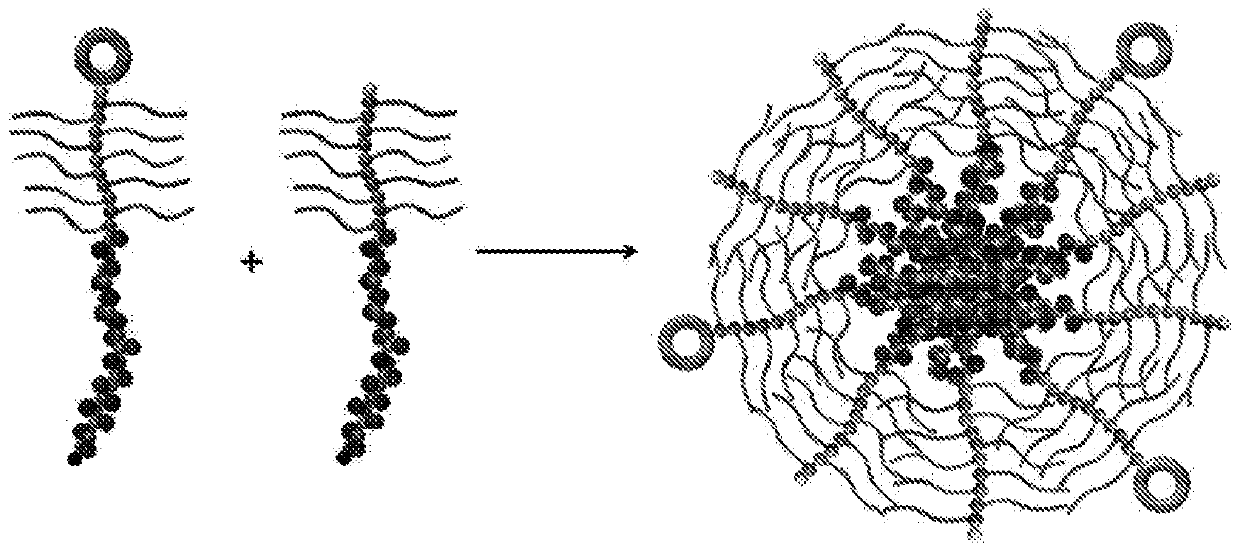 Self-assembled diblock copolymers composed of pegmema and drug bearing polymeric segments