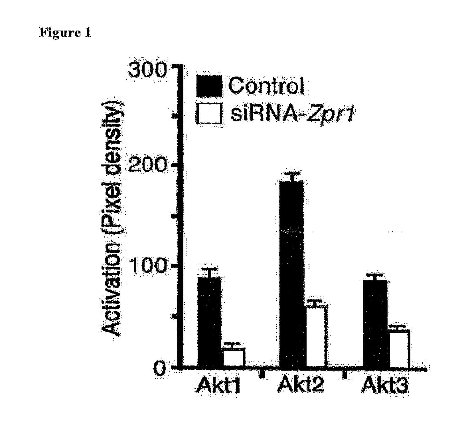 Jnk inhibitors for use in treating spinal muscular atrophy