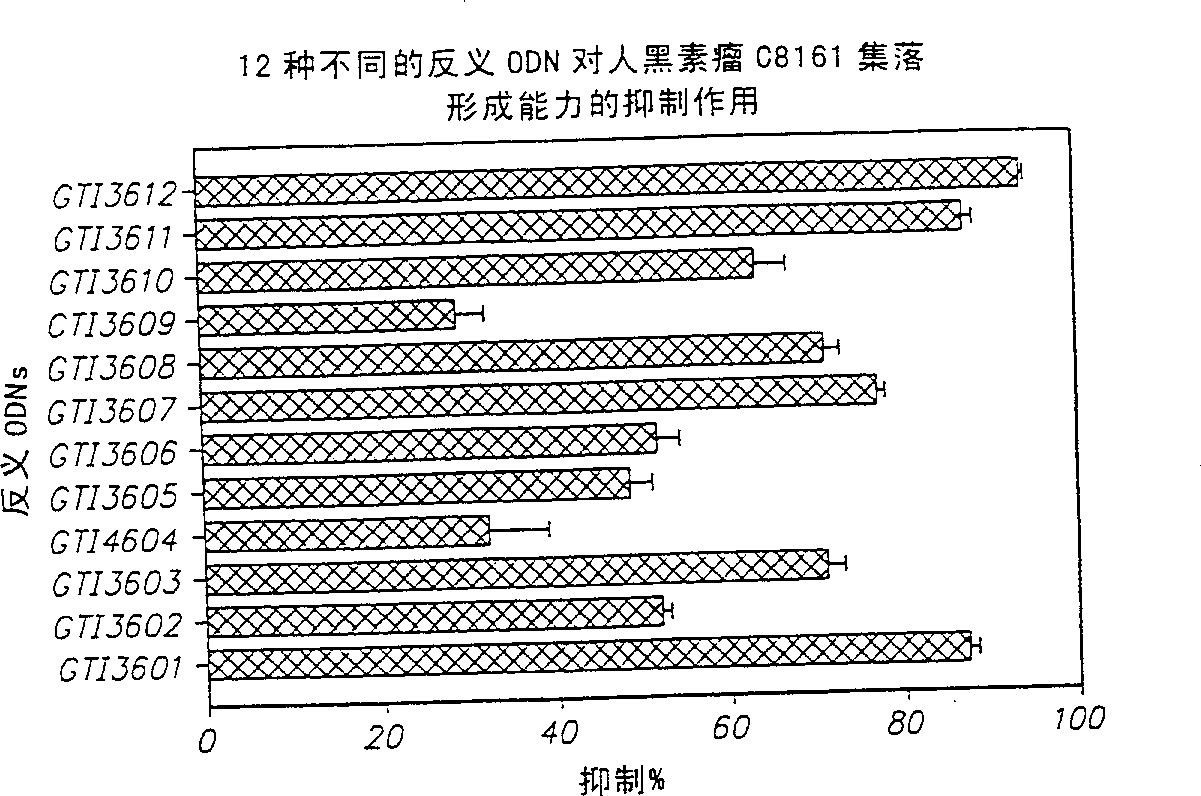 Neuropilin antisense oligonucleotide sequences and methods of using same to modulate cell growth