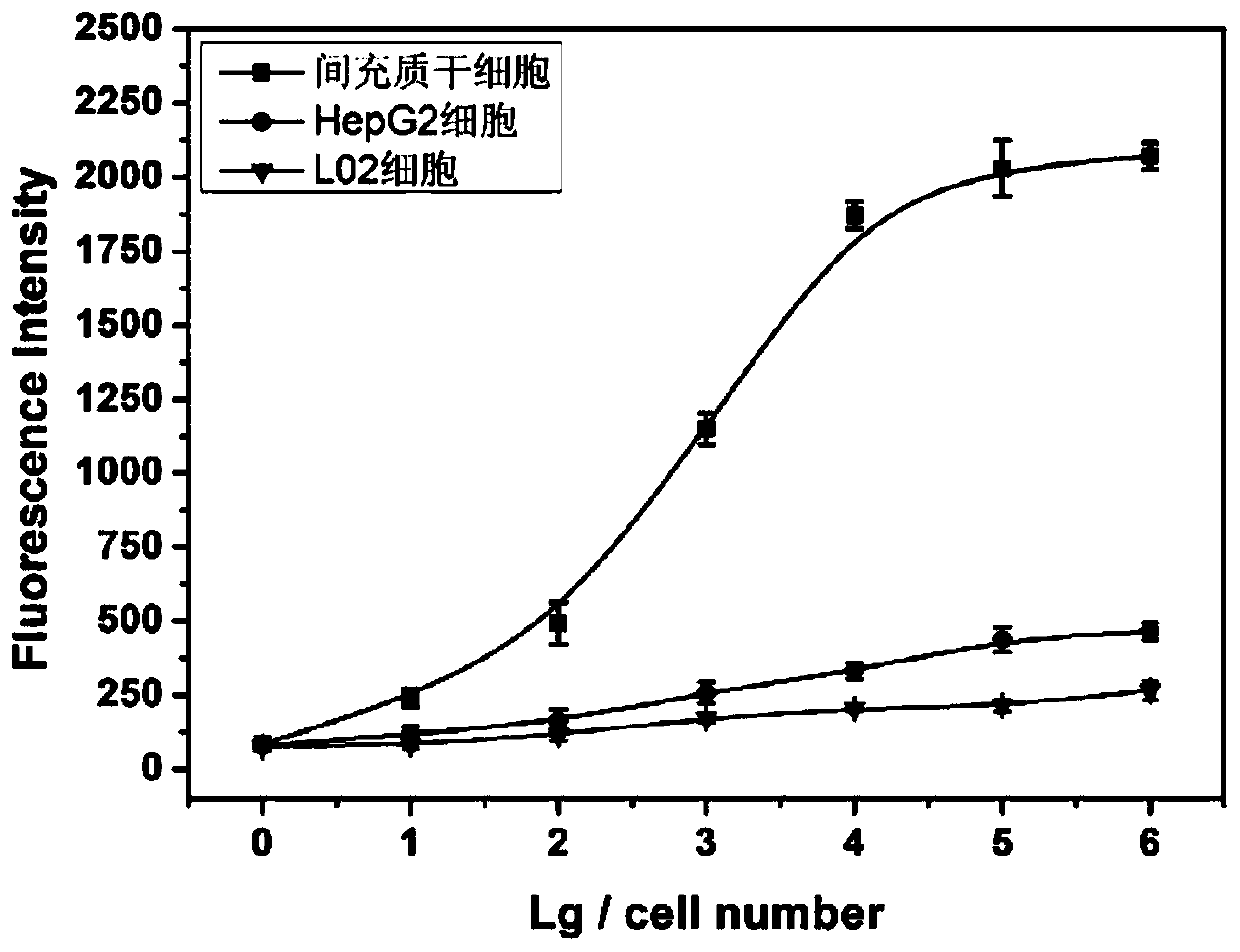 Method for nondestructive analysis of mesenchymal stem cell membrane protein