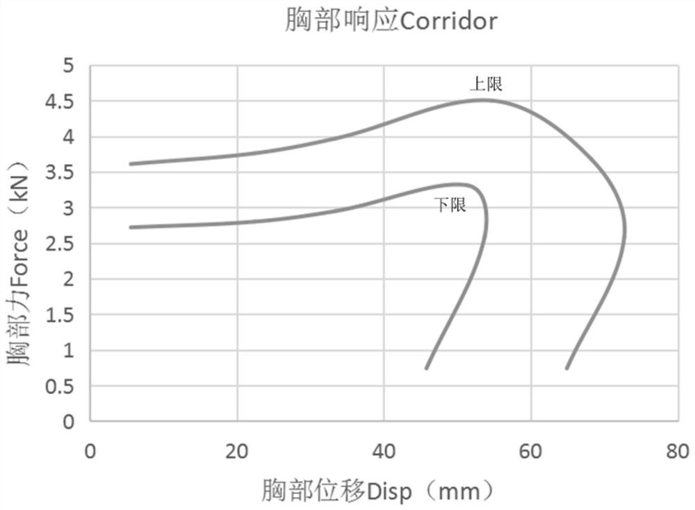 Preparation method of dummy rib material suitable for collision test of Chinese