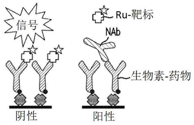 Improved competitive ligand binding assays