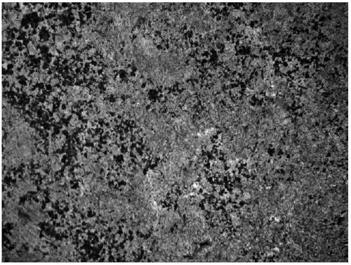 Micro-nano-TiC particle reinforced steel and preparation method thereof