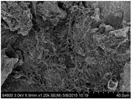 Preparation of biochar-loaded psb passivator and method for remediating pb-contaminated soil