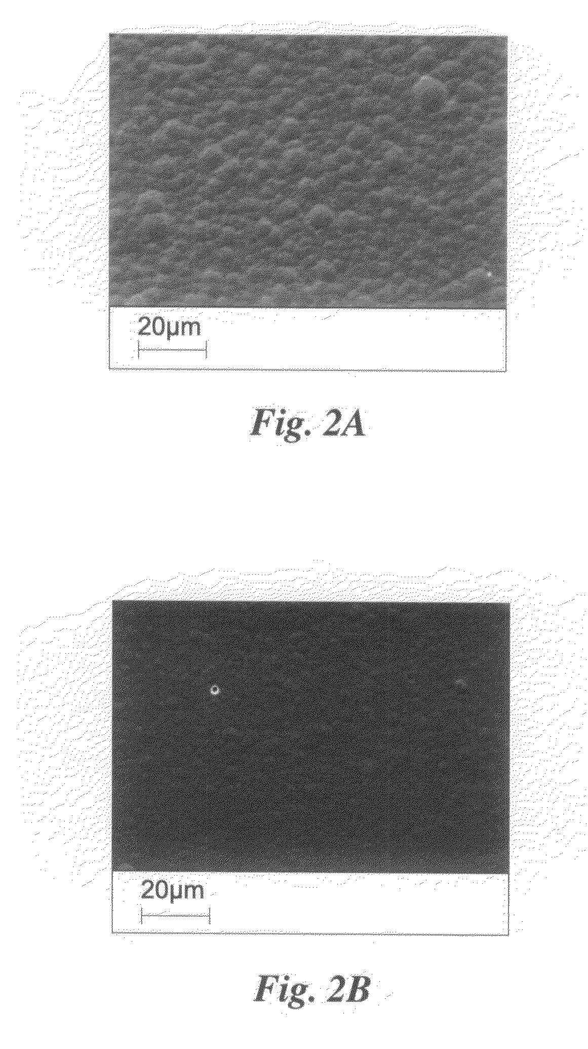 Methods for tailoring the surface topography of a nanocrystalline or amorphous metal or alloy and articles formed by such methods