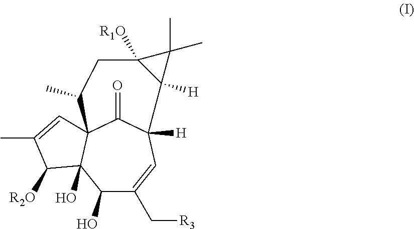 13-oxidized ingenol derivative and use thereof