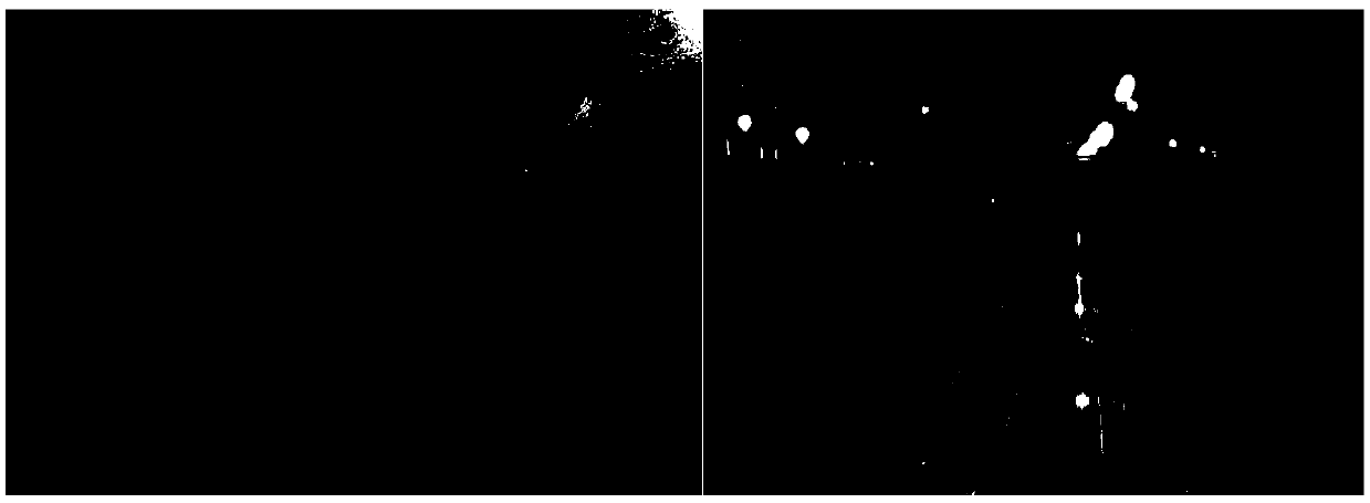 A Retinex-Based Fast Image Restoration Method in Nighttime Fog
