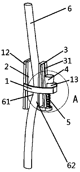 Dual-directional extrusion type tree seedling correction device