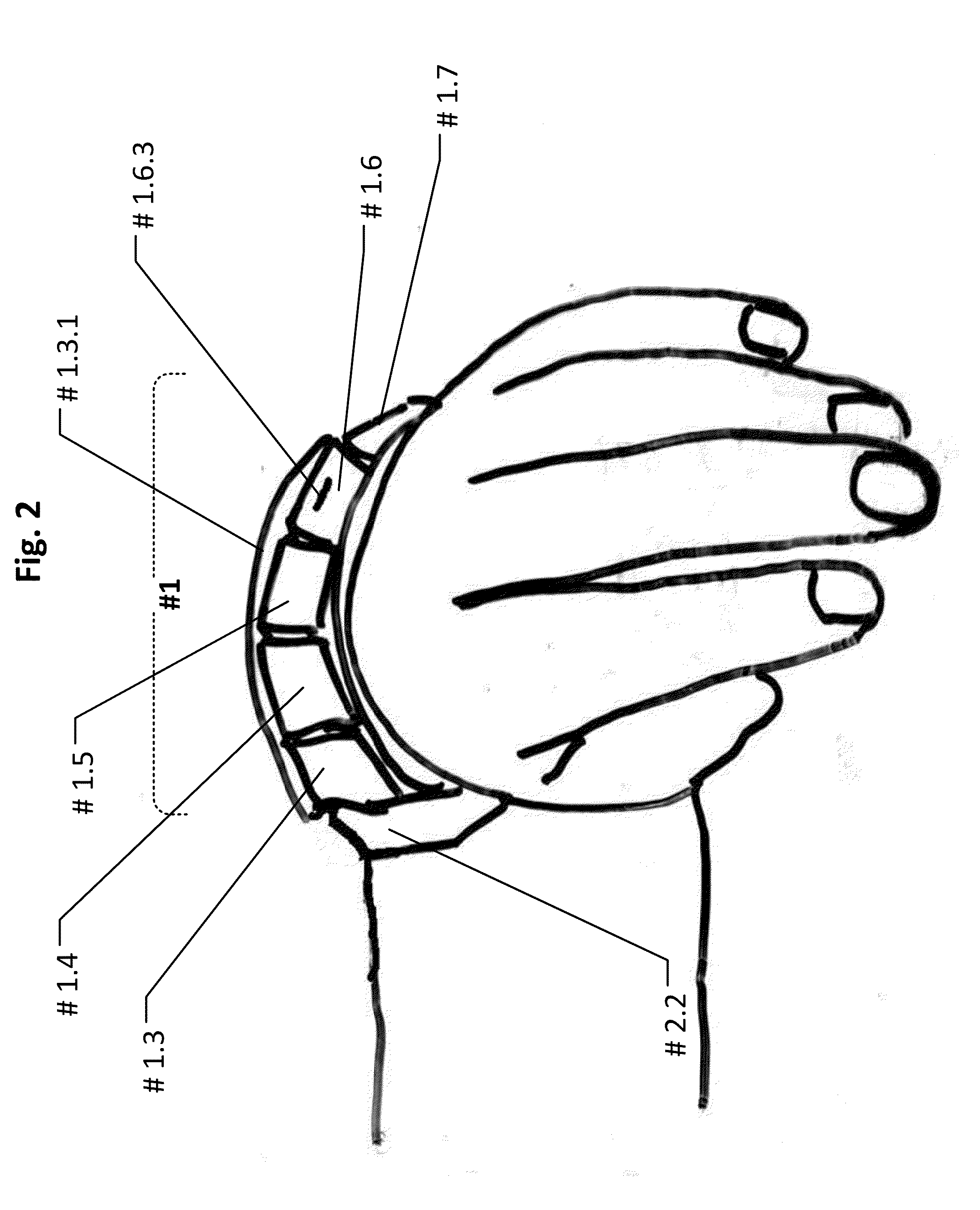 Wearable communication device, security complex and user interface