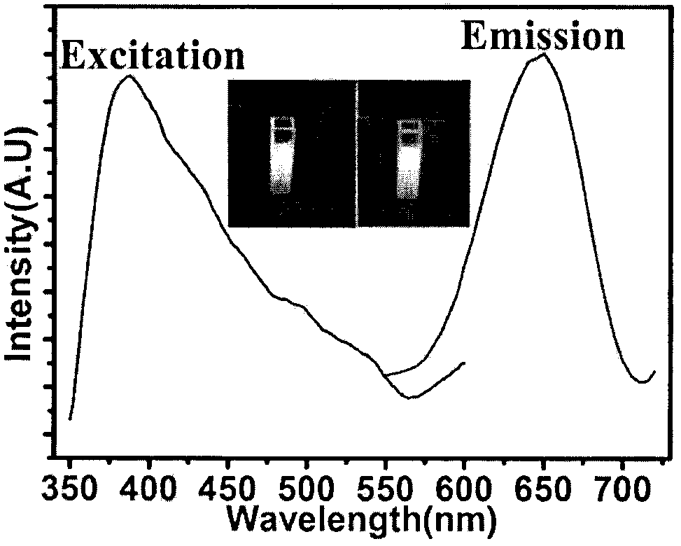 Fluorescence-based alpha-fetoprotein detection kit and preparation thereof