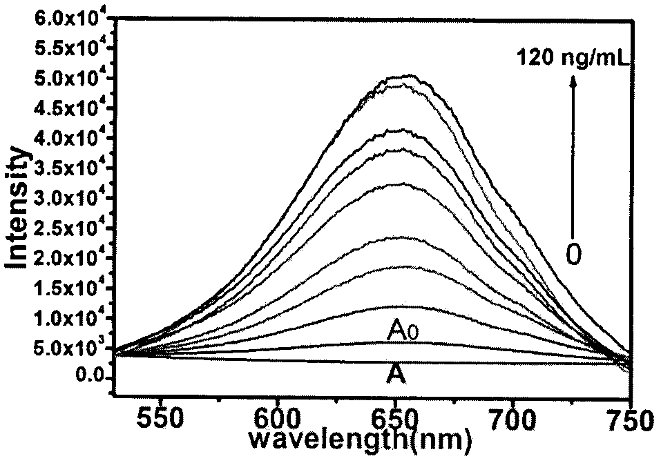 Fluorescence-based alpha-fetoprotein detection kit and preparation thereof