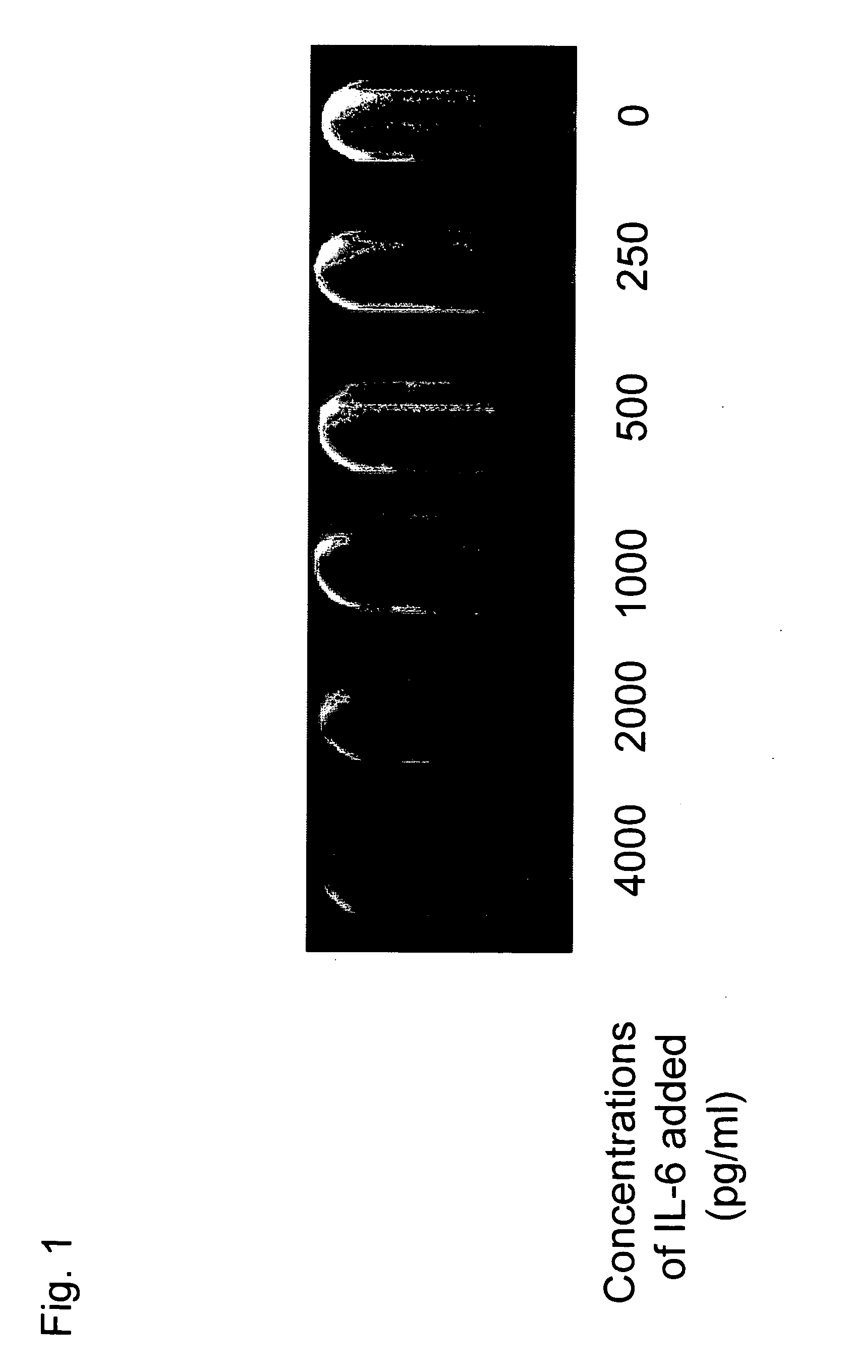 Method for Rapidly and Conveniently Detecting Target Substances and Enzyme Immunological Kit Therefor