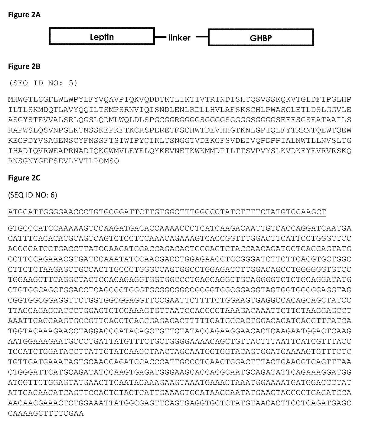 Fusion polypeptide comprising the extracellular binding domain of growth hormone receptor