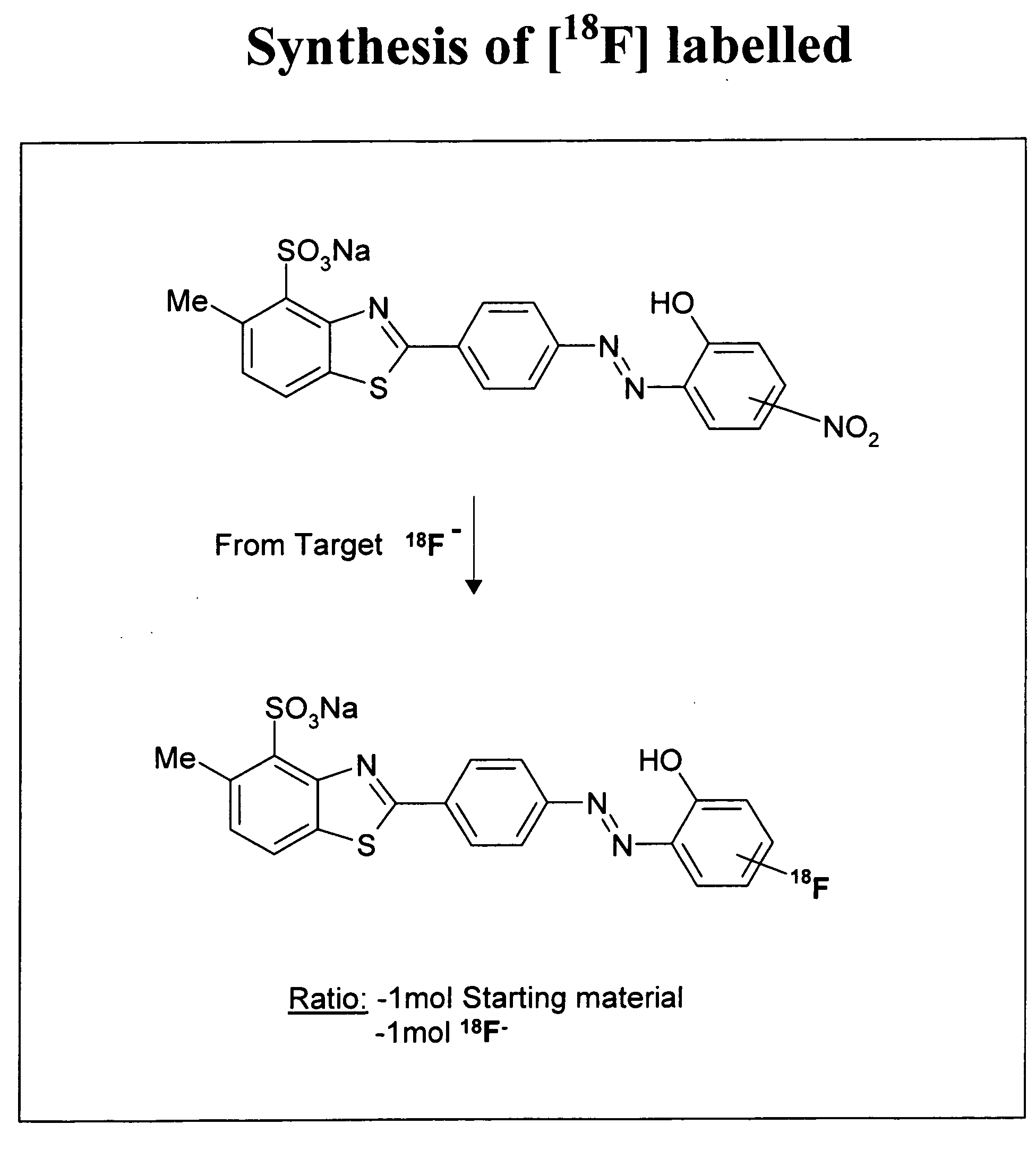 Neurofibrillary labels