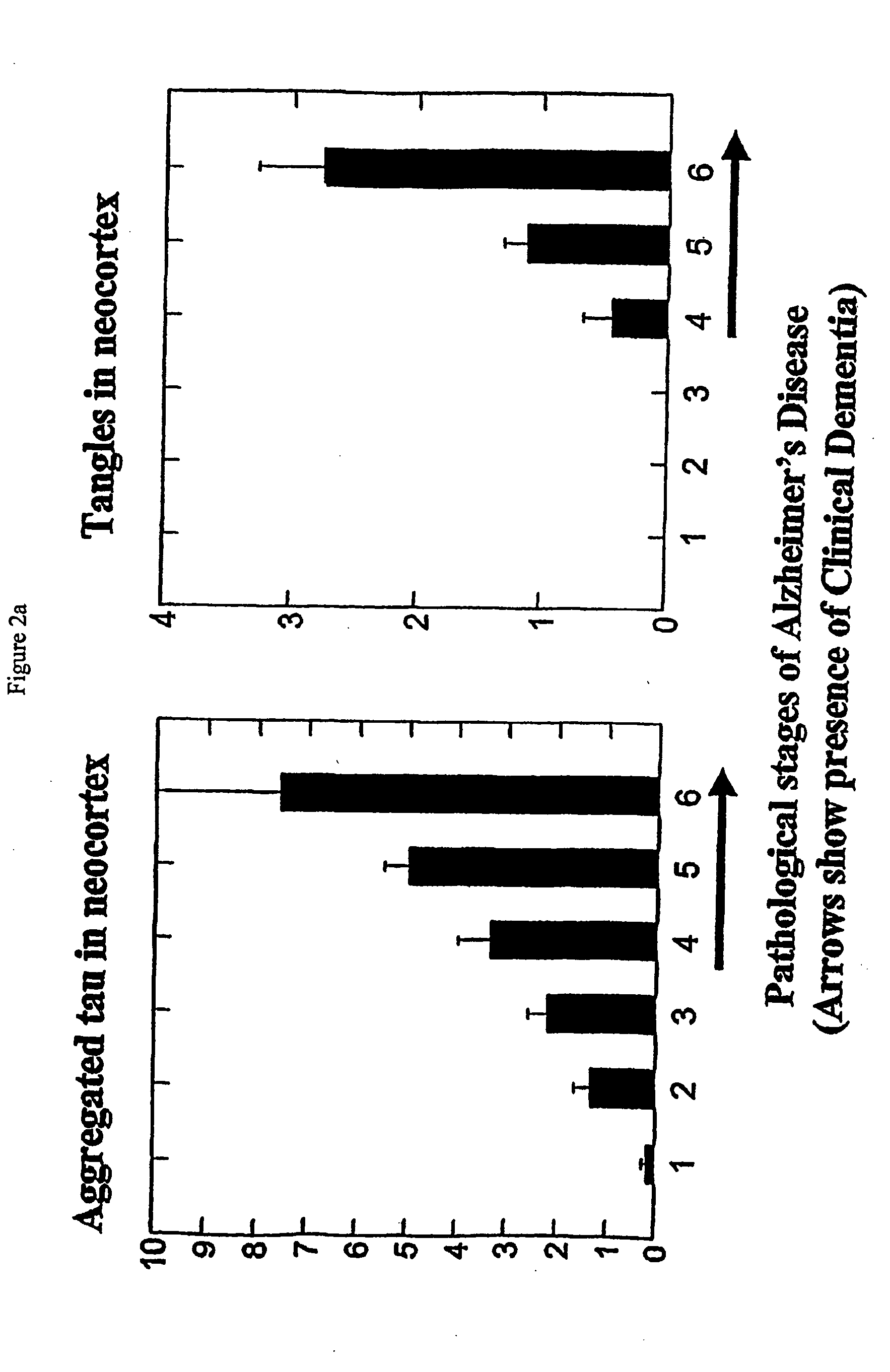 Neurofibrillary labels