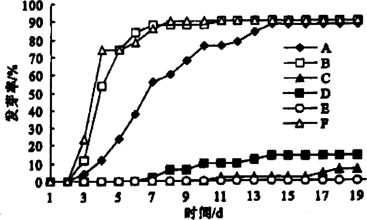 Rapid seedling cultivation method of Prunus pedunculata Maxim.