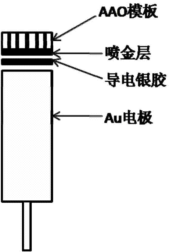Preparation method of Pt-Ni alloy nano tube array electrode and application for enzyme-free glucose sensor