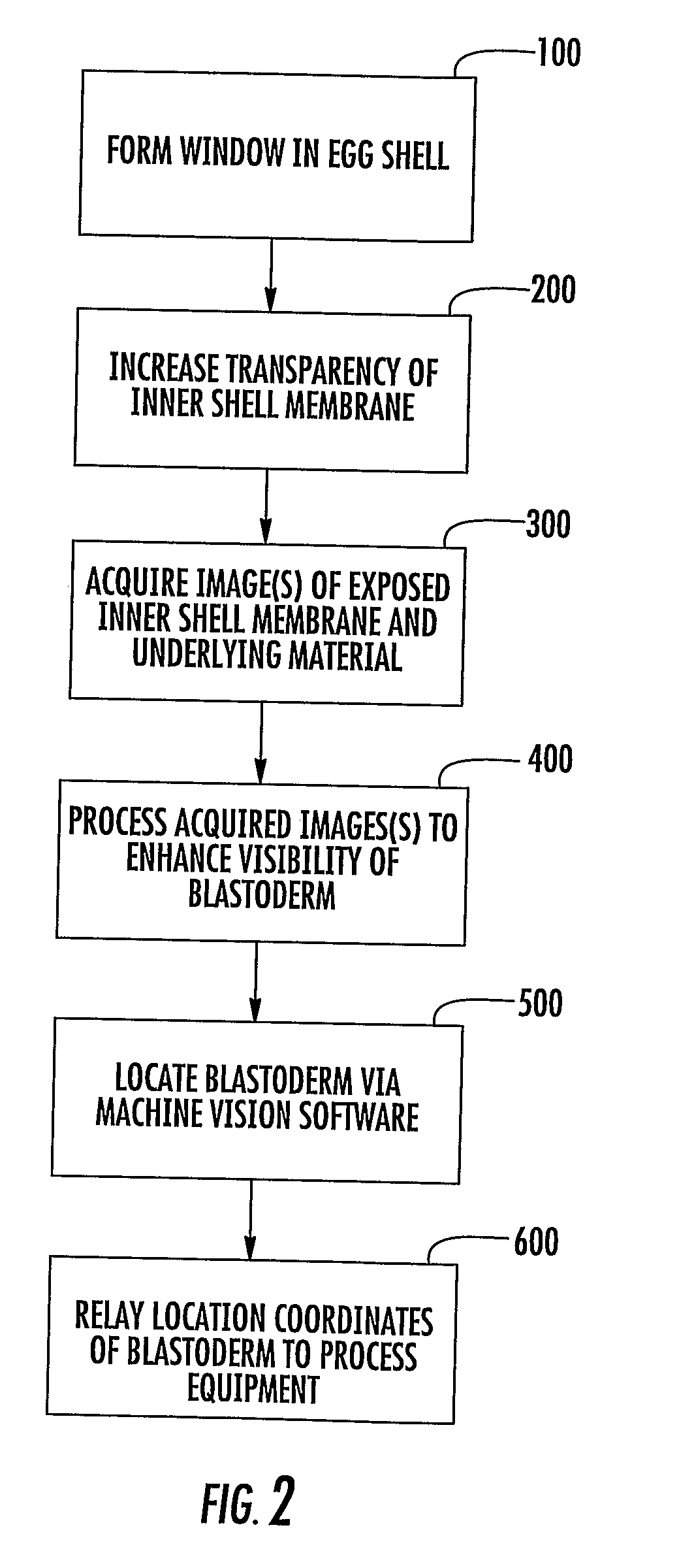 Methods for Rapidly and Accurately Locating Avian Egg Blastoderms