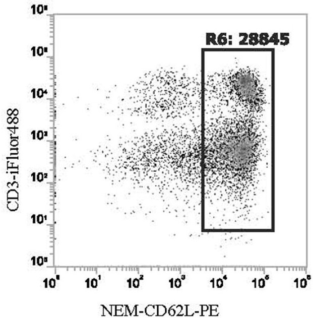 Preparation method of phycoerythrin immunofluorescence probe