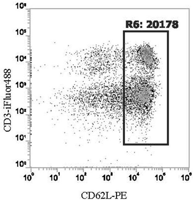 Preparation method of phycoerythrin immunofluorescence probe