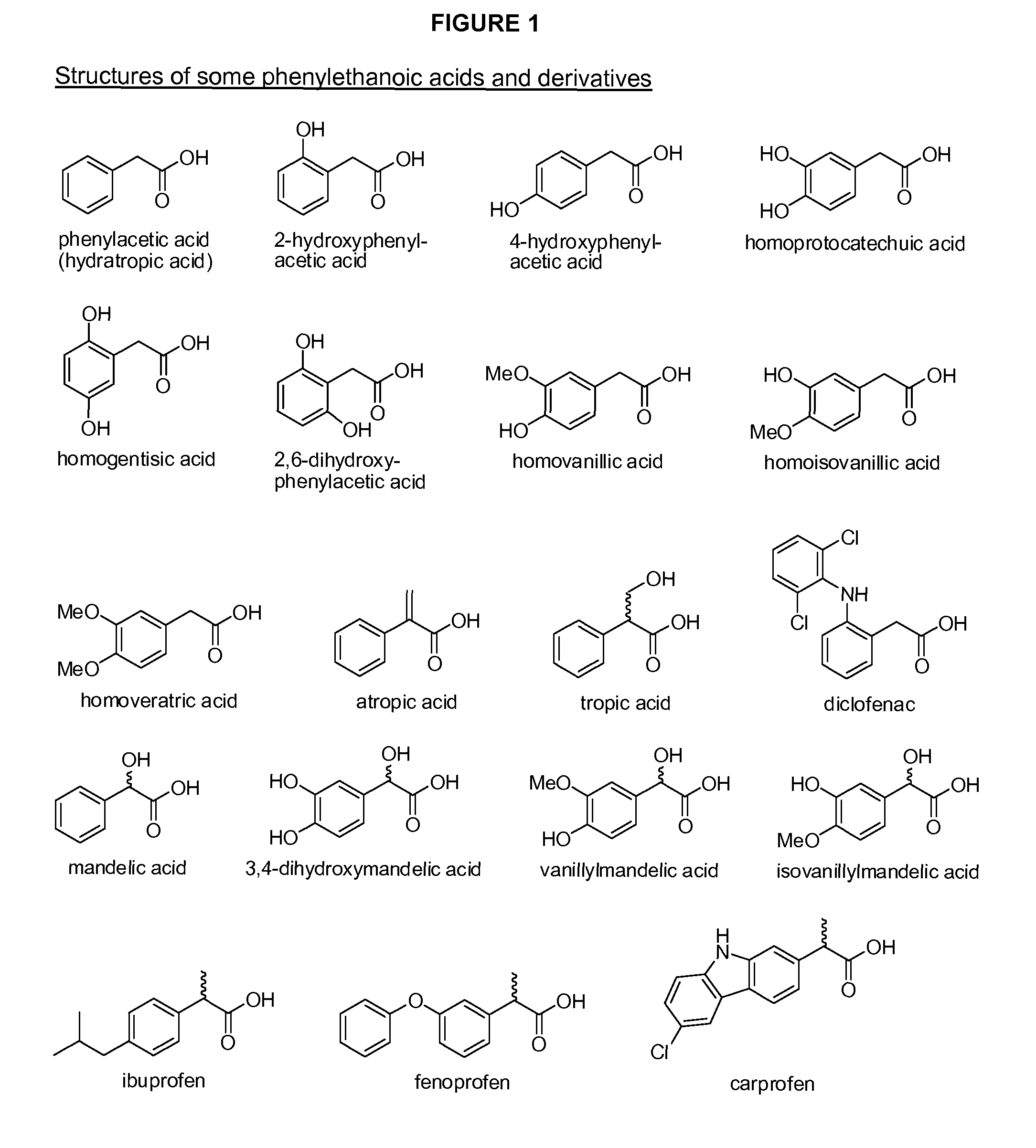 Phenylethanoic acid, phenylpropanoic acid and phenylpropenoic acid conjugates and prodrugs of hydrocodone, method of making and use thereof