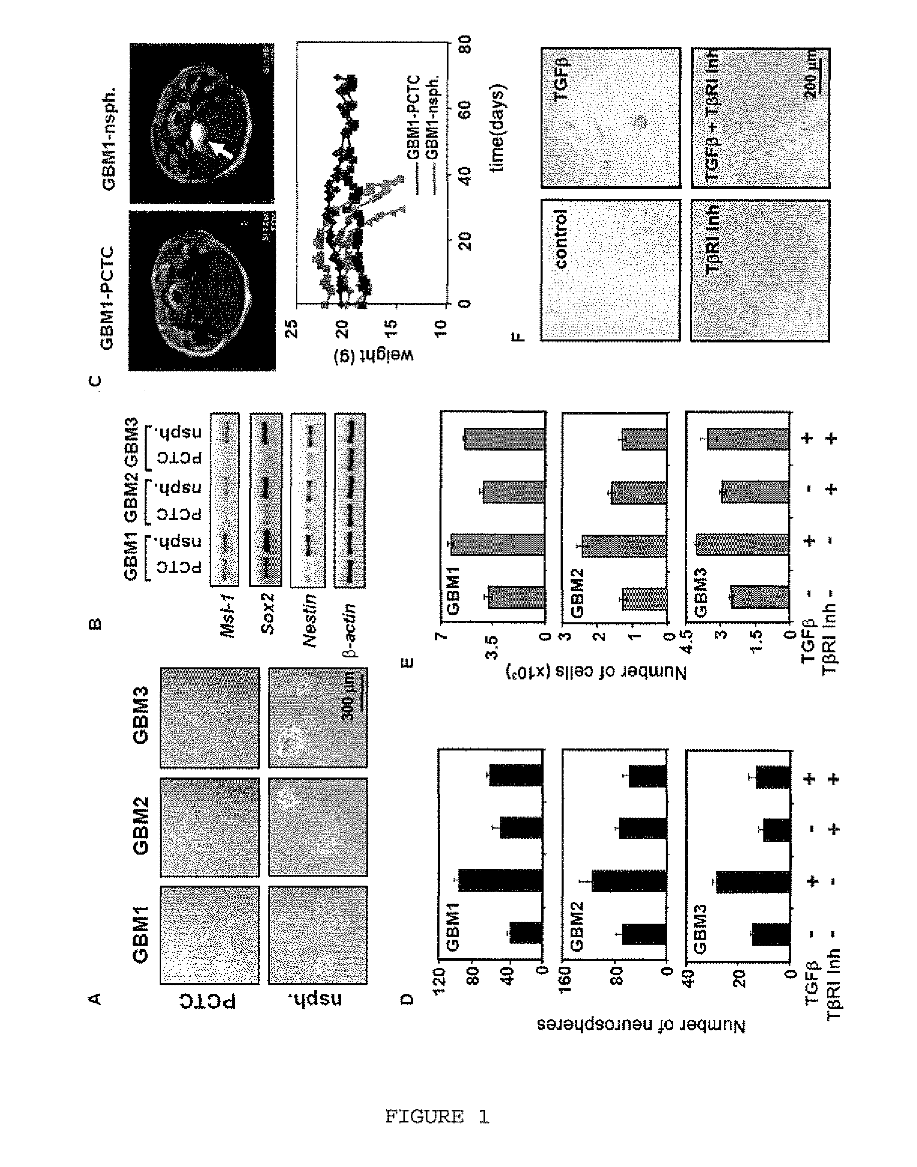 Therapeutic agents for the treatment of diseases associated with undesired cell proliferation