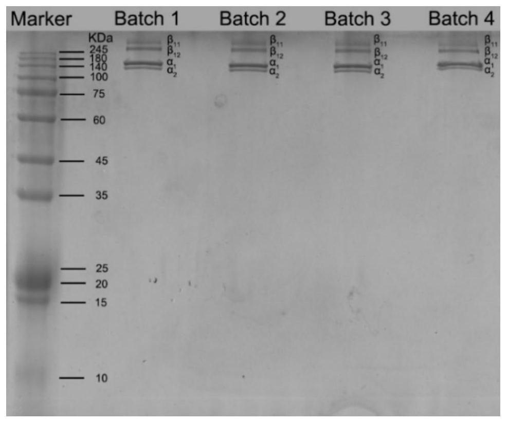 Yak type I collagen product for repairing light injury of skin