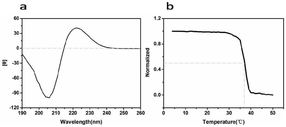 Yak type I collagen product for repairing light injury of skin