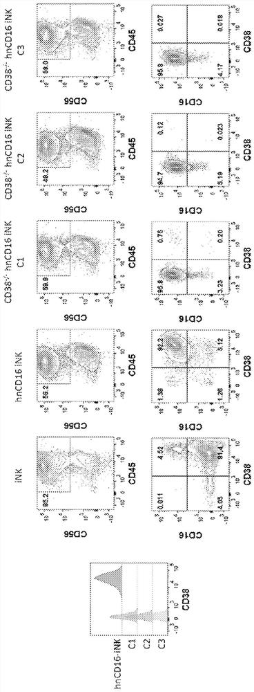 Engineered immune effector cells and use thereof