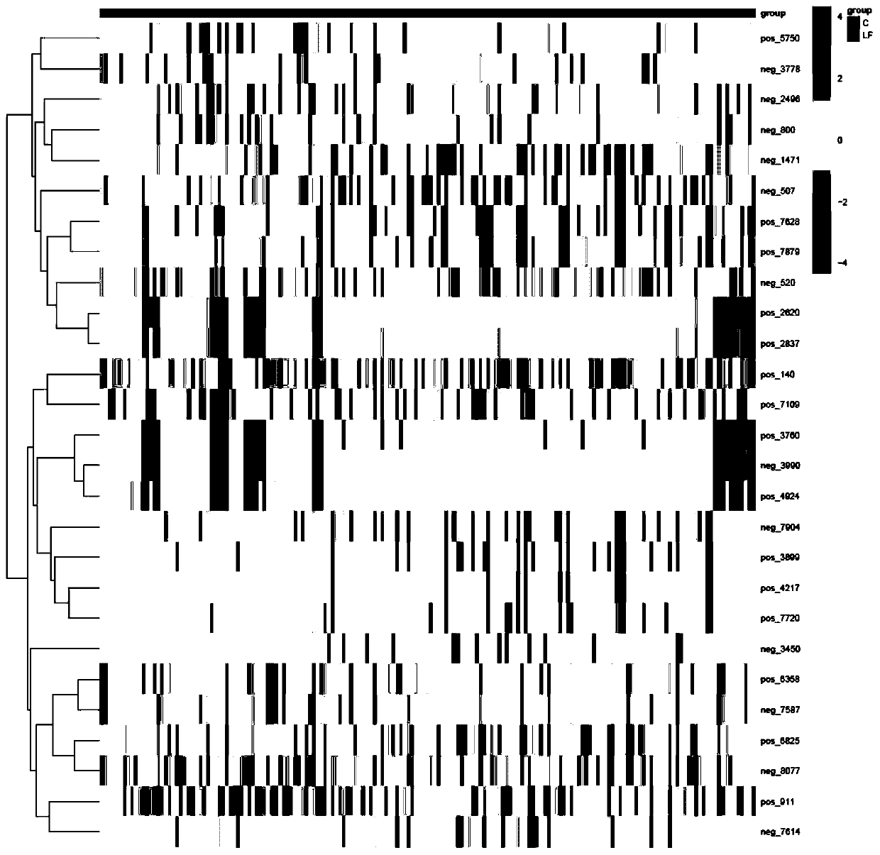 Establishment of intestinal tract metabolic map of longevity family and application of intestinal tract metabolic map in field of aging health