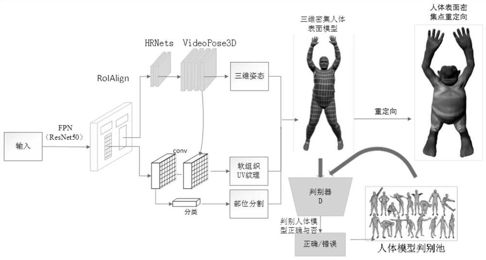 Human body animation synthesis method based on human body soft tissue grid model