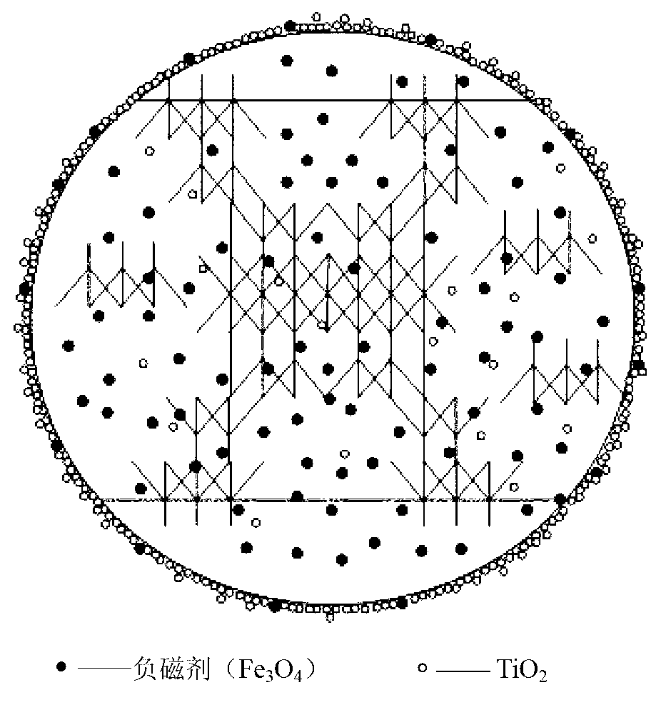 Magnetically-separable multiplex photo-catalyst, and preparation method and application thereof