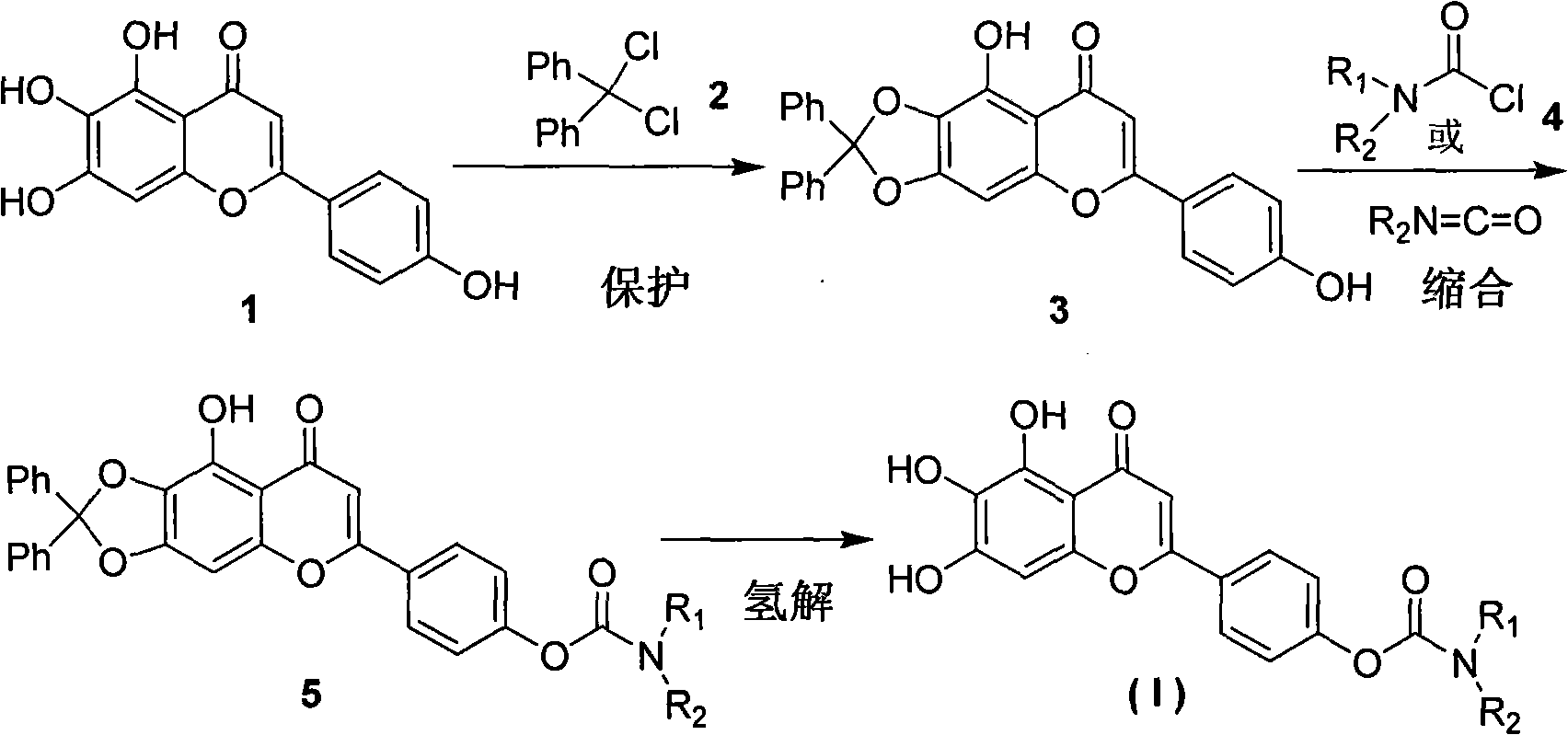 Scutellarein carbamate derivates, preparation method and application thereof