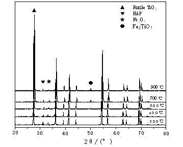 Multi-phase light-assisted Fenton catalyst and preparation method thereof