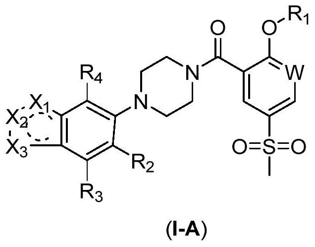 2-Substituted oxy-5-thiamphenicol aryl piperazine amide analogue and its preparation method and use