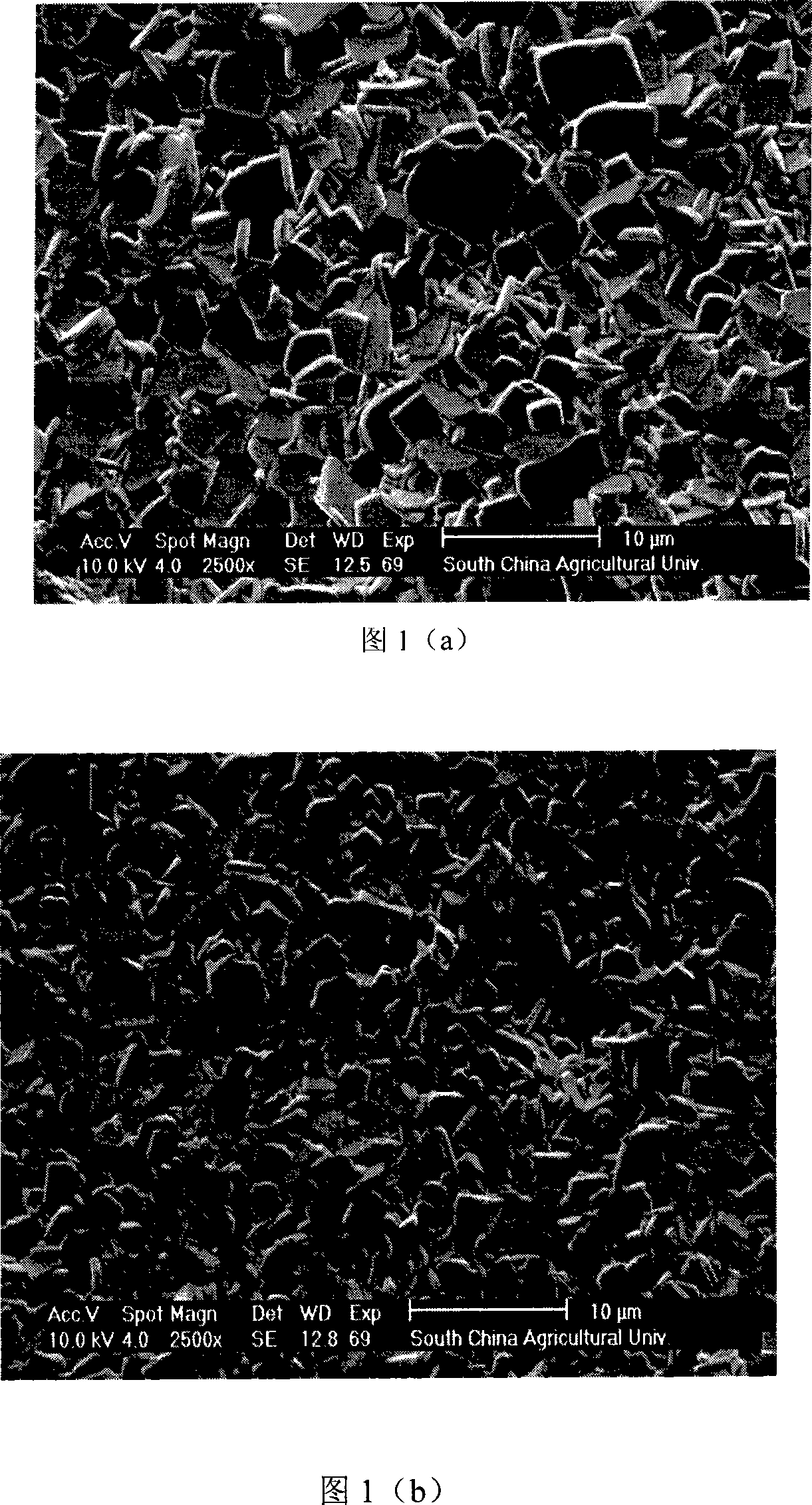 Method for increasing bismuth layer structure piezoelectricity ferroelectric ceramic material density