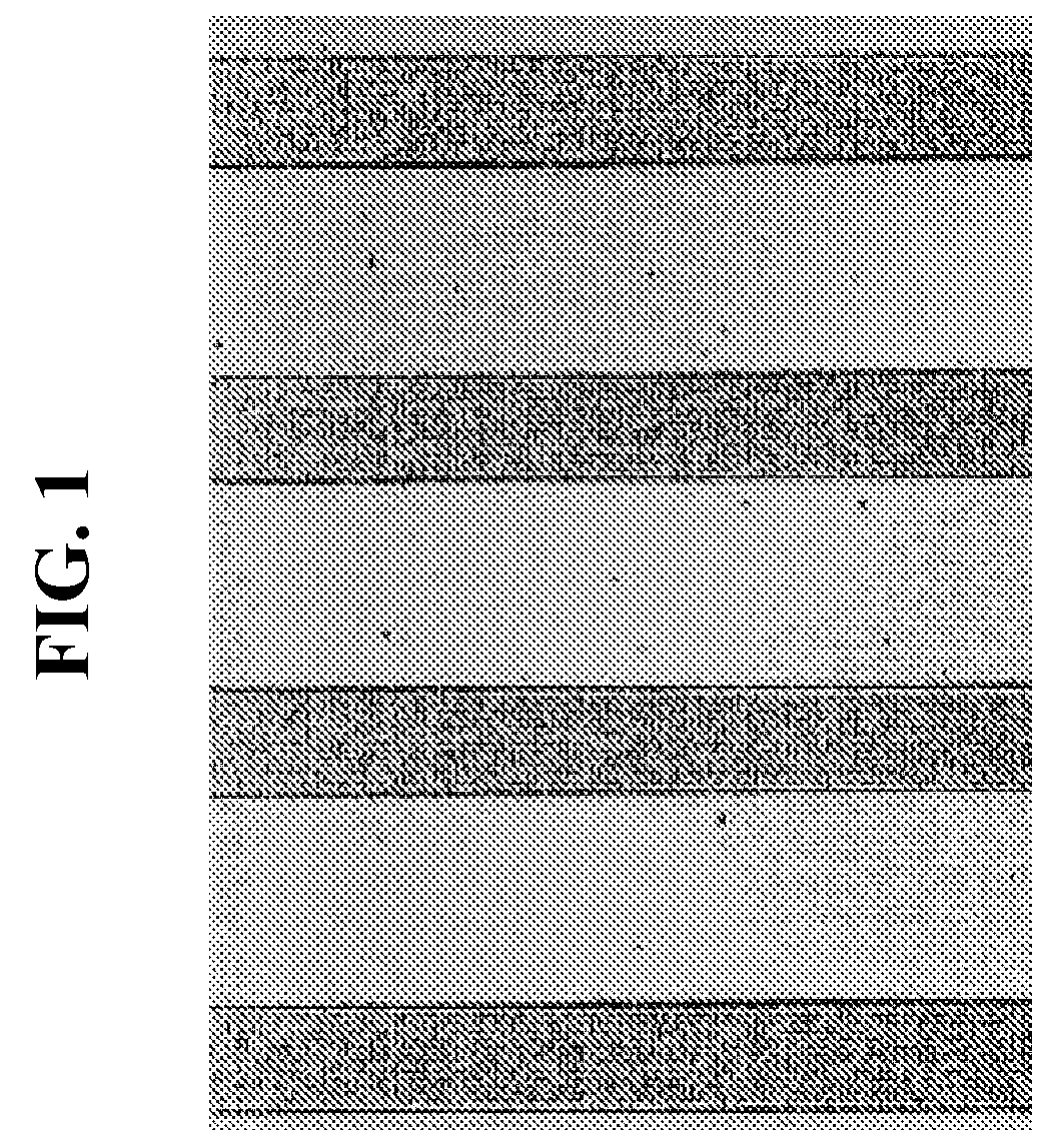 Carbon Black Surface-Modified with Benzene Compound and Carbon Black Dispersion Composition for Black Matrix Using the Same