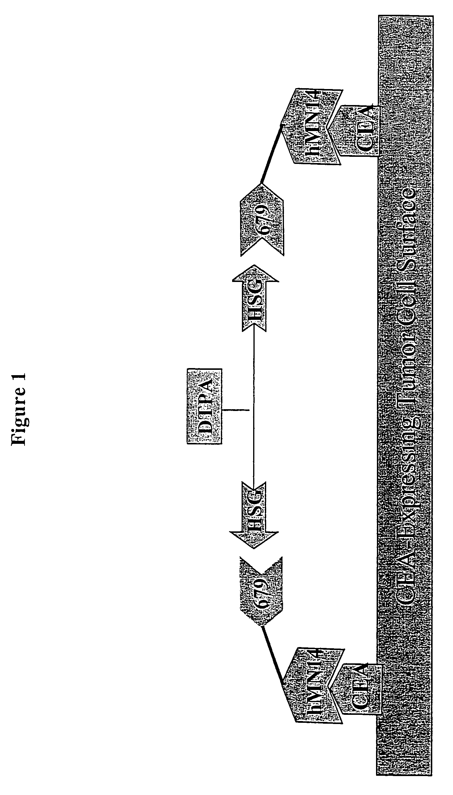 Methods and compositions for administering therapeutic and diagnostic agents