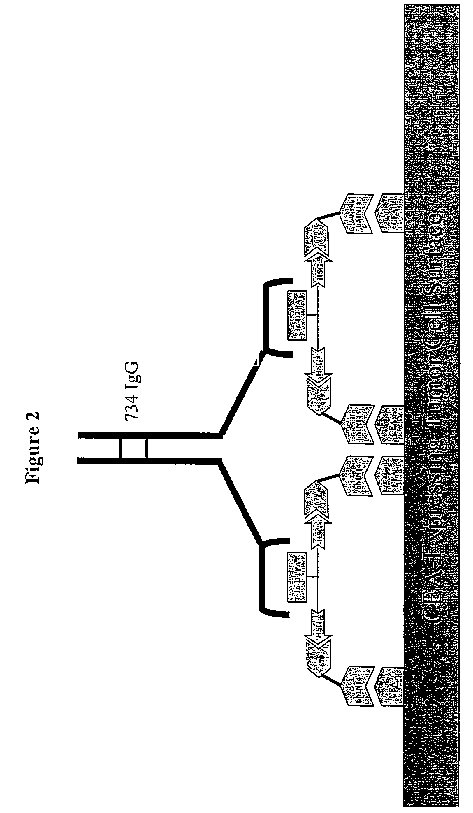 Methods and compositions for administering therapeutic and diagnostic agents