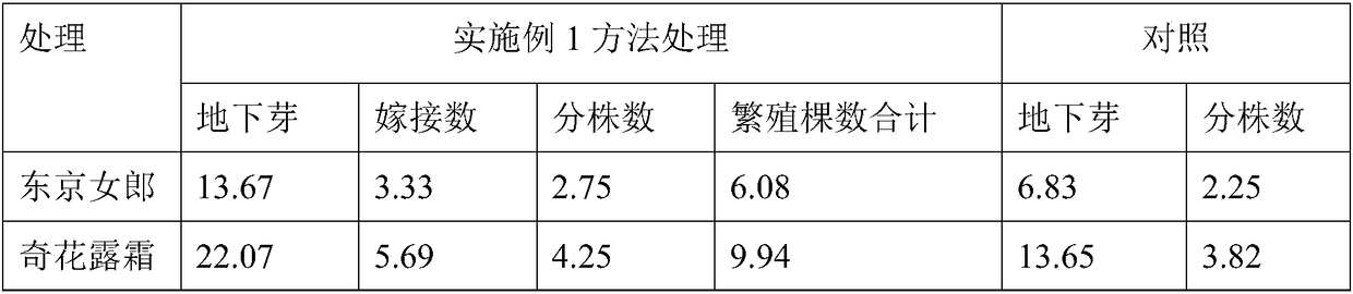 Method for improving propagation efficiency of Chinese herbaceous peony