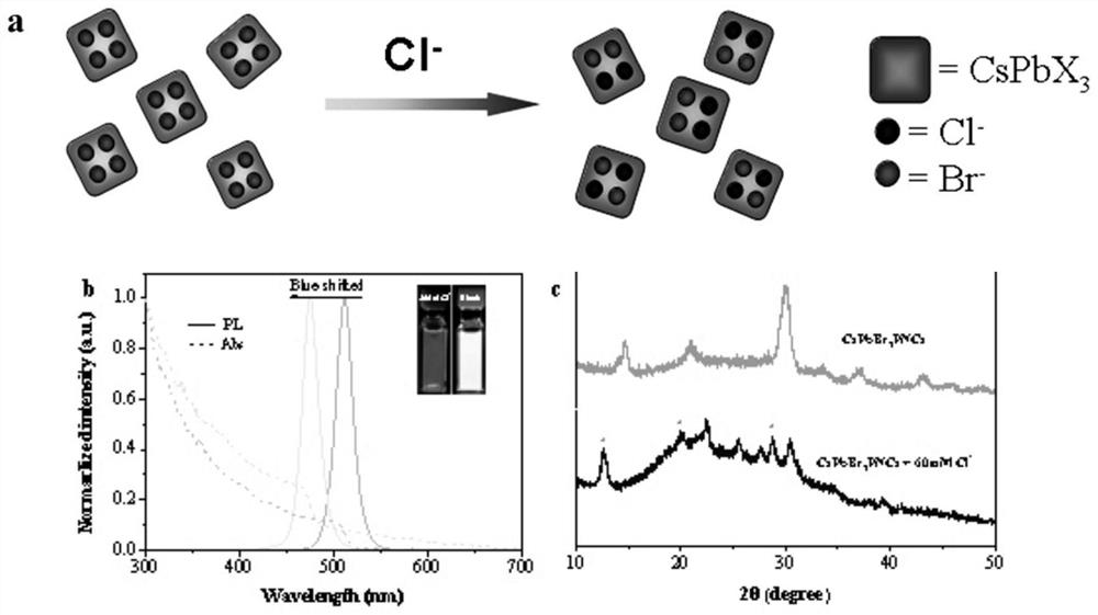 A Visual Sensing Method for Chloride Ion Detection in Sweat