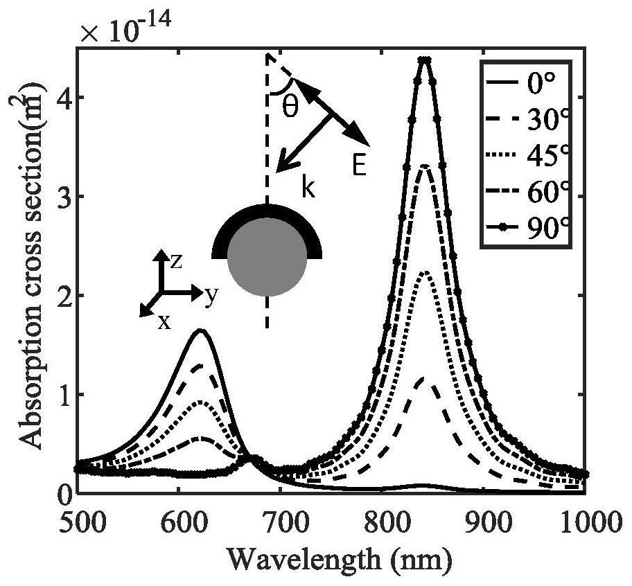 Heterogeneous double nanoparticle structures insensitive to polarization state of excitation light and their applications