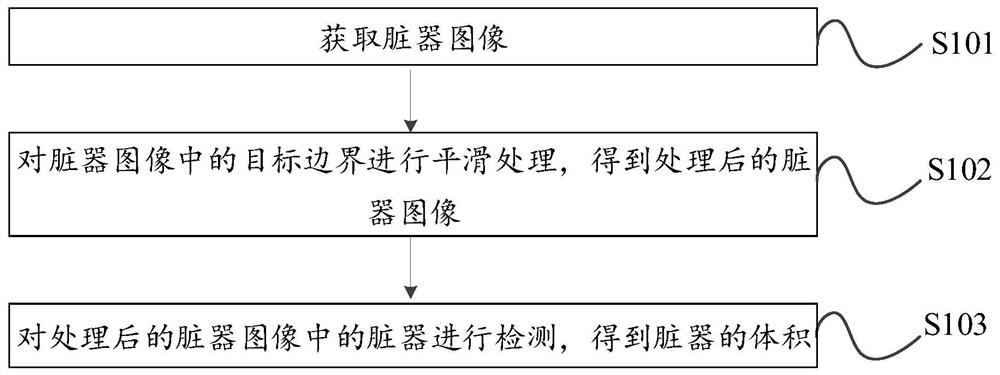 Organ volume detection method and device