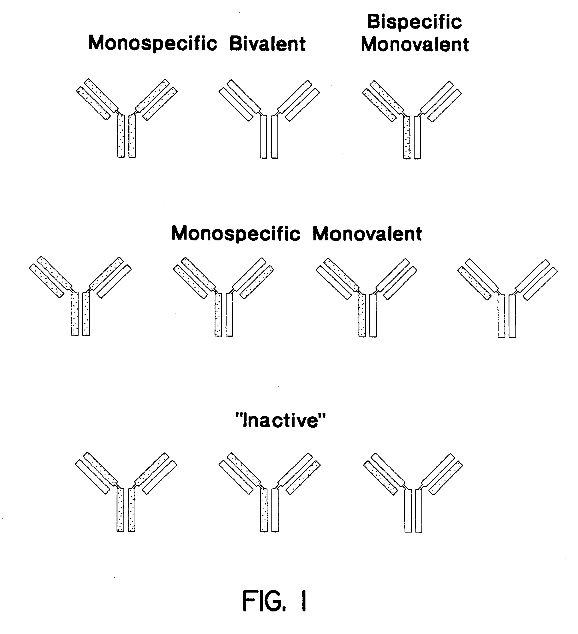 Method for making heteromultimeric polypeptides