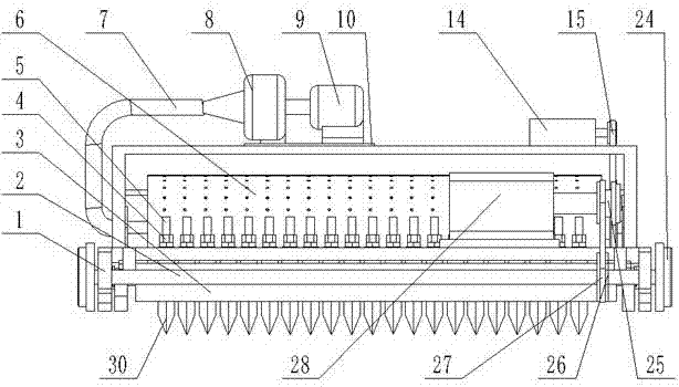 Factory pneumatic panax notoginseng seeder