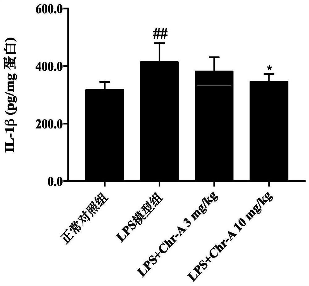 Application of compound aureomycin A in aspect of inhibiting kidney inflammation