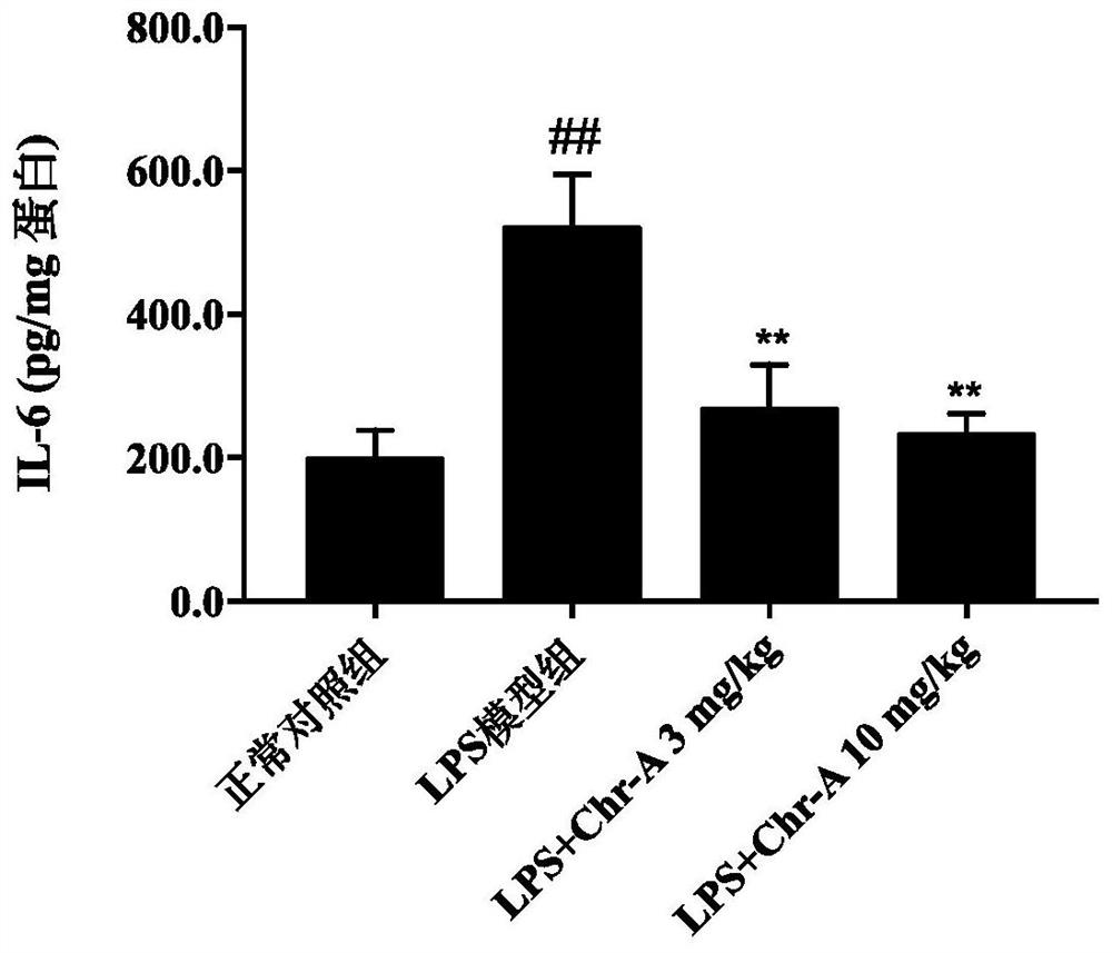 Application of compound aureomycin A in aspect of inhibiting kidney inflammation
