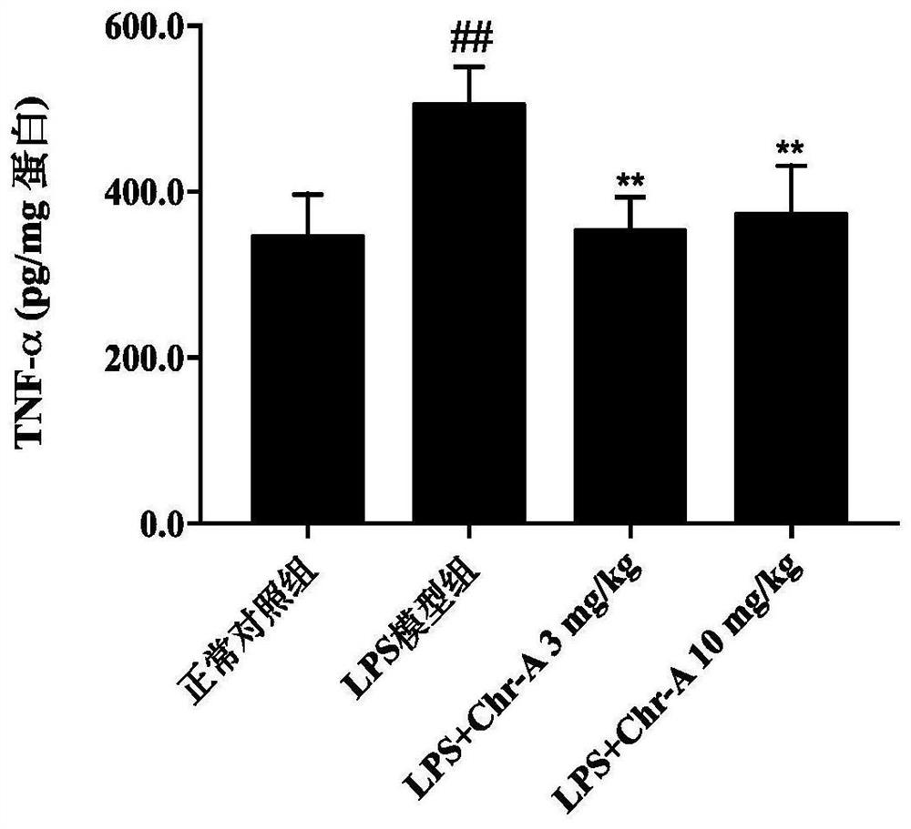 Application of compound aureomycin A in aspect of inhibiting kidney inflammation