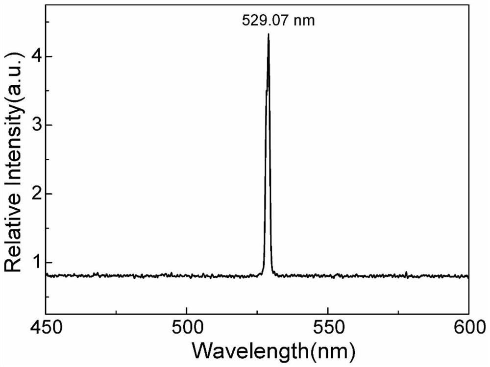 Neodymium-doped zinc-bismuth borate self-frequency doubling crystal material, cut shape, preparation method and application